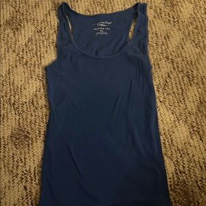 American Eagle Outfitters Fitted Blue Sleeveless Tank Top